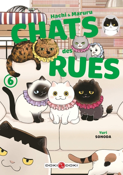 Hachi & Maruru - Chats des rues - T06