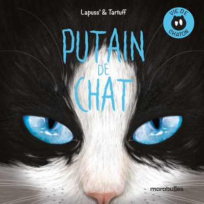 Putain de chat - T13 - Vie de Chaton - T01