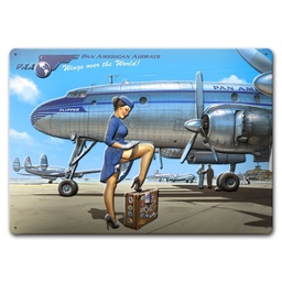 PLAQUE METALLIQUE ROMAIN HUGAULT - PAN